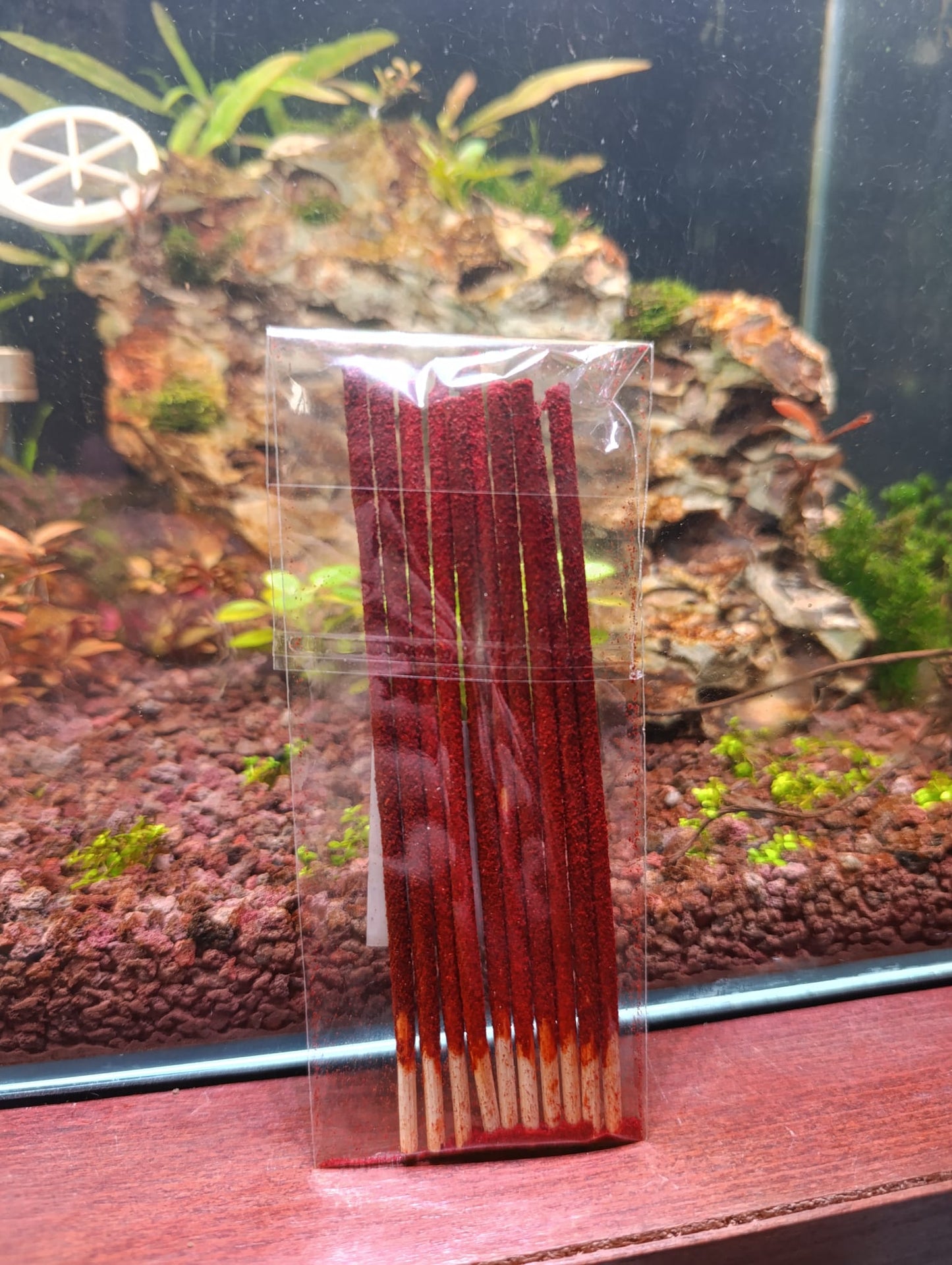 Lollies Paprika
